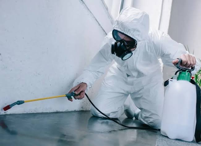 Residential pest control